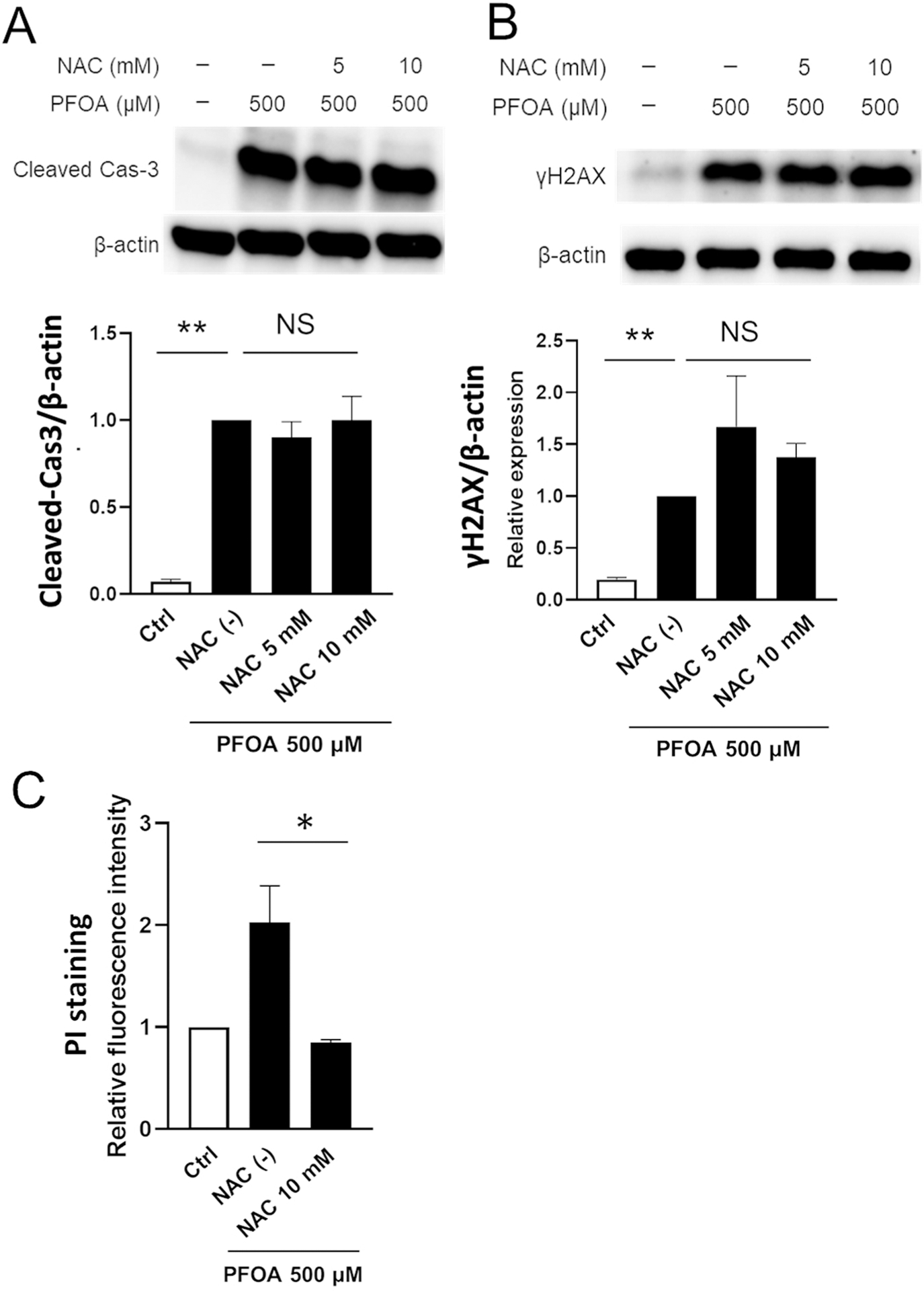 Perfluorooctanoic acid-induced cell death via the dual roles of ROS ...