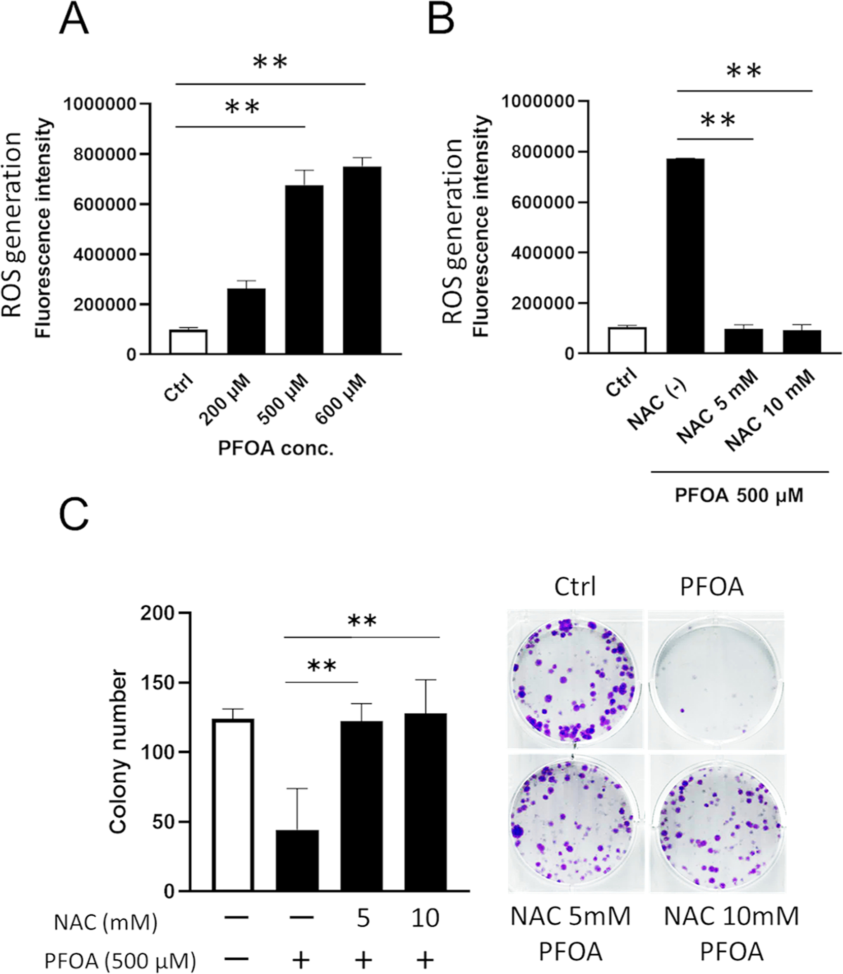 Perfluorooctanoic Acid-induced Cell Death Via The Dual Roles Of Ros 