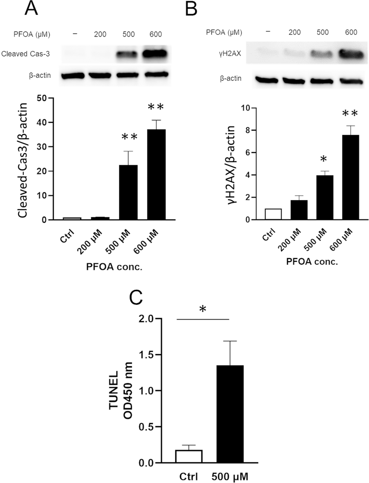 Perfluorooctanoic acid-induced cell death via the dual roles of ROS ...