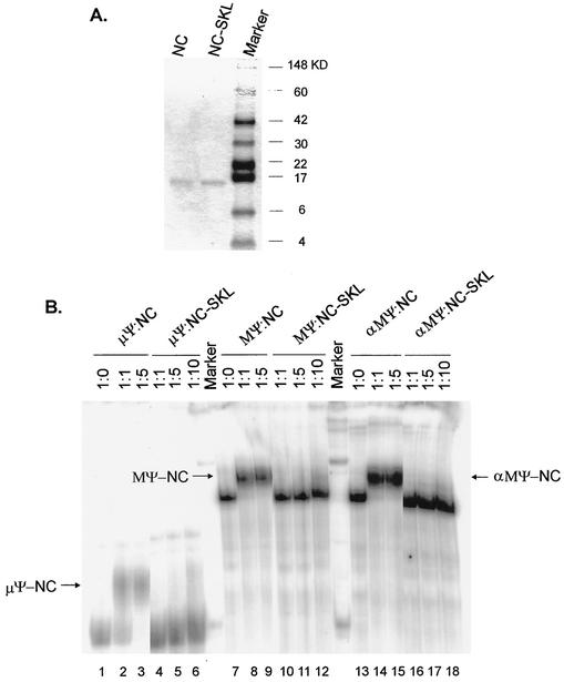 FIG. 5.