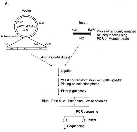 FIG. 4.