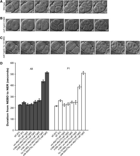 Figure 3.—