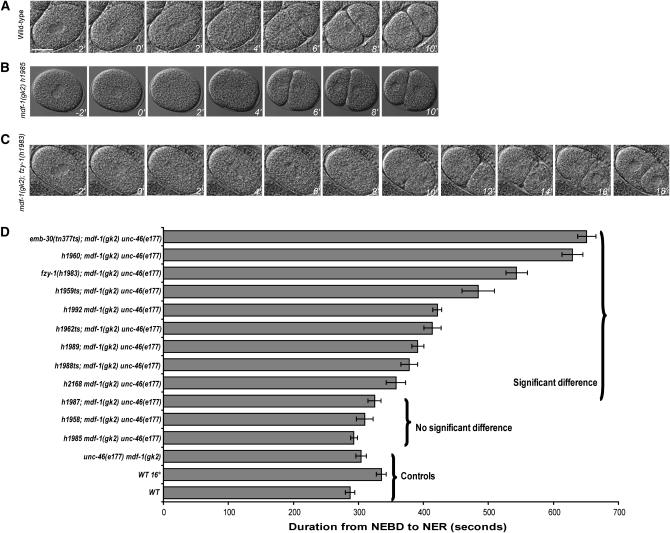 Figure 2.—