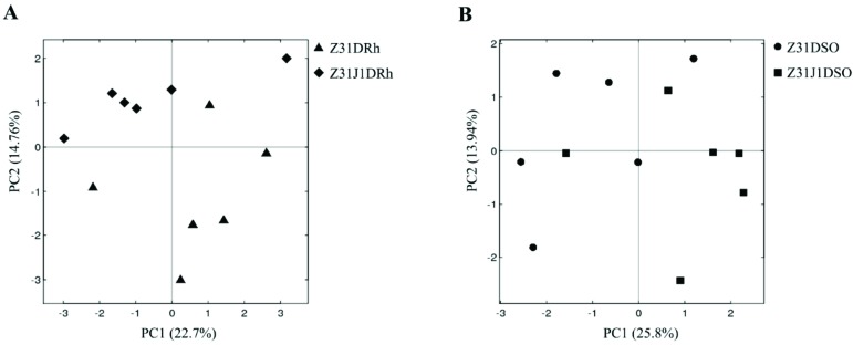 Fig. (1)