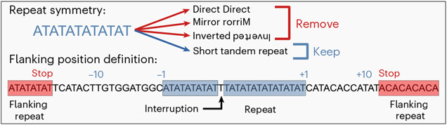 Fig. 1 ∣