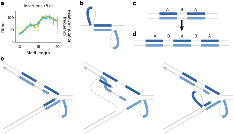 Fig. 4 ∣