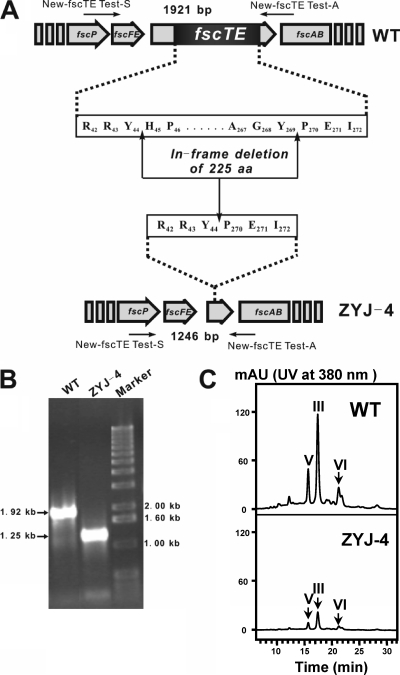 FIG. 2.