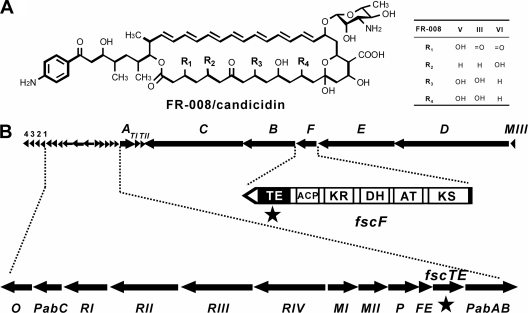 FIG. 1.