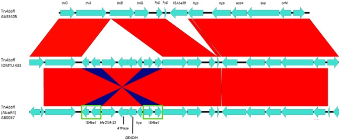 Figure 7