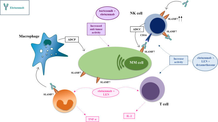 Figure 2