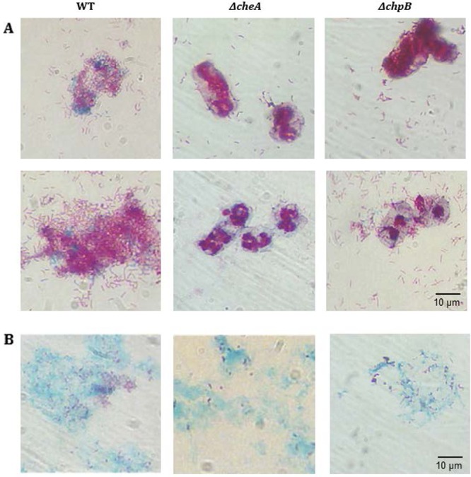 Fig 6