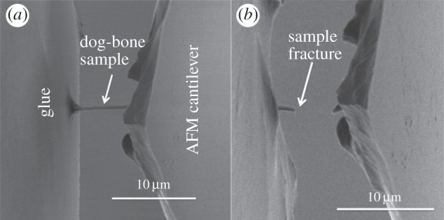 Figure 4.