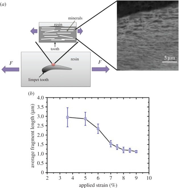 Figure 2.