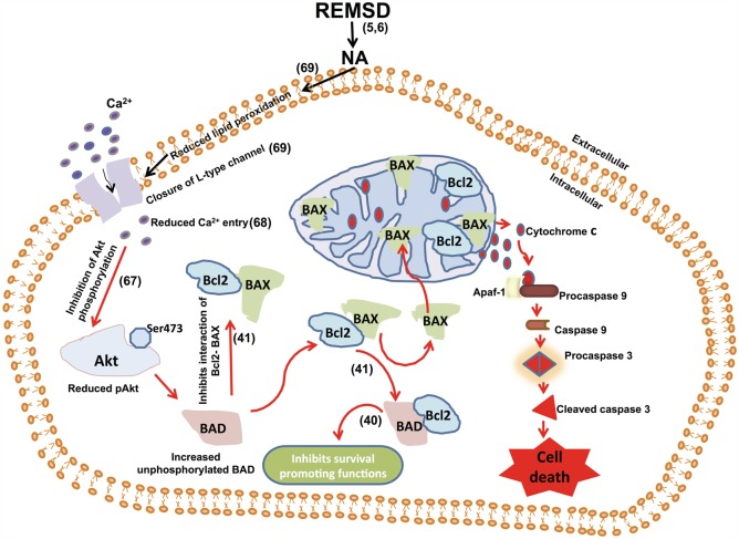 Figure 14