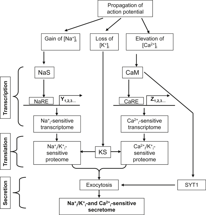 Fig. 2