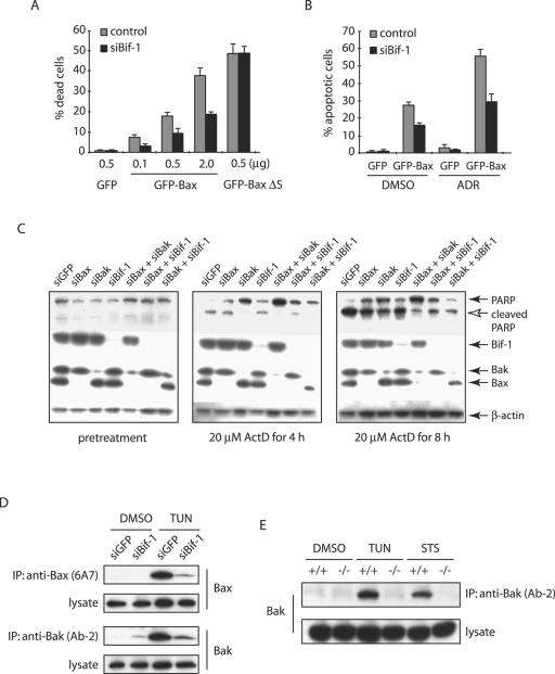 FIG. 7.