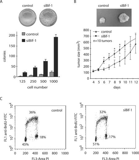 FIG. 8.