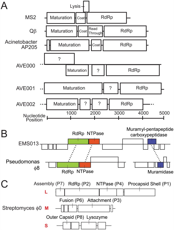 Fig 2