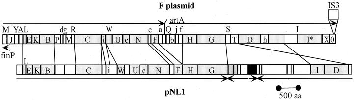 FIG. 5