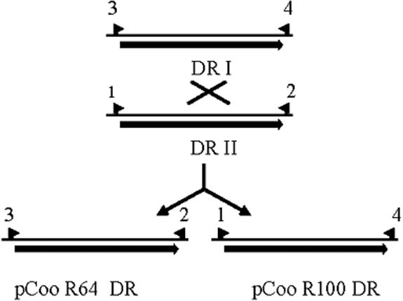 FIG. 2.