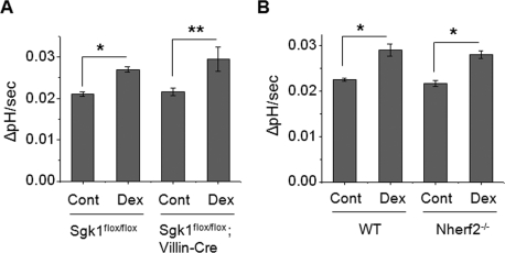 FIGURE 3: