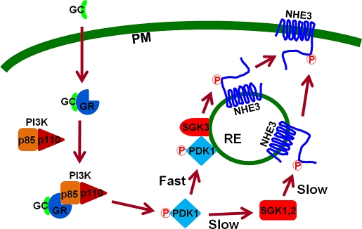 FIGURE 10: