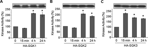 FIGURE 4: