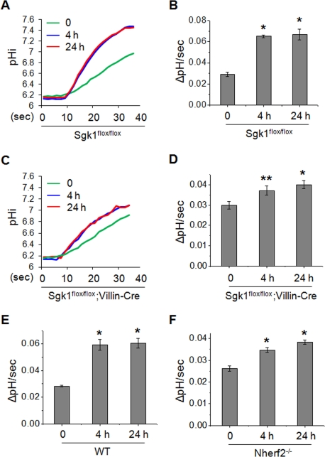 FIGURE 1: