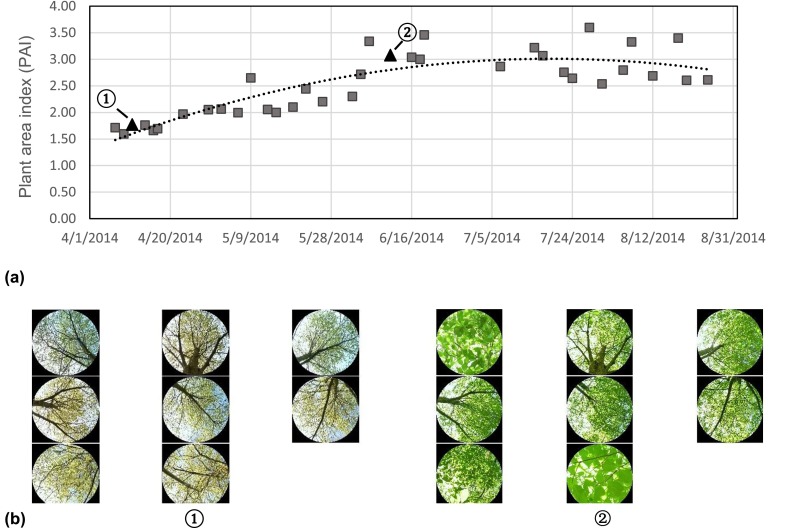 Fig. 3