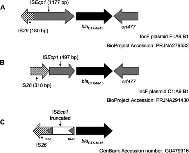 FIG 1