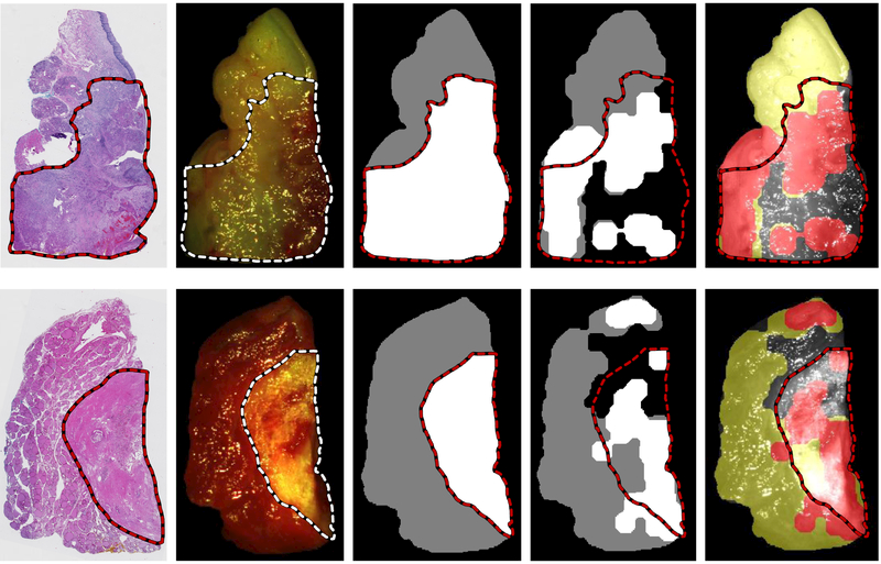 Figure 5: