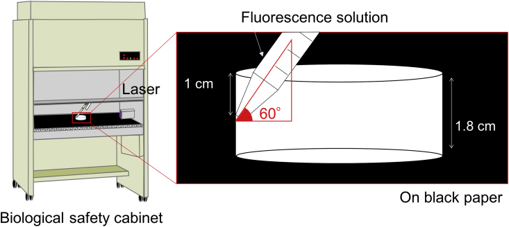 Fig. 1