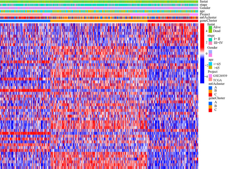 Fig 10