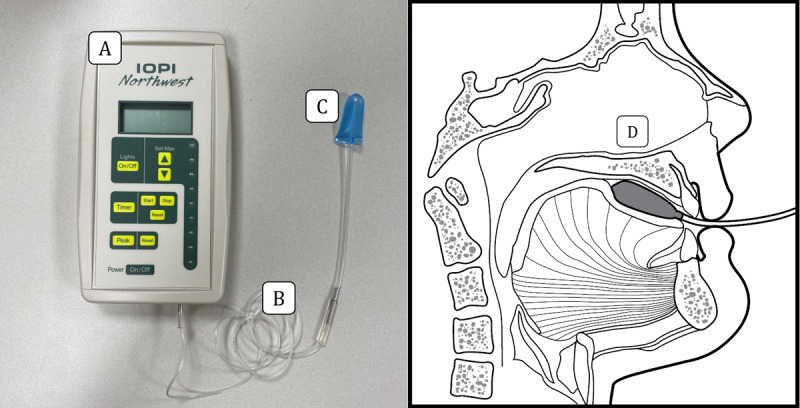 Figure 7