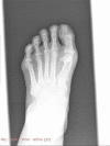 Figure 24