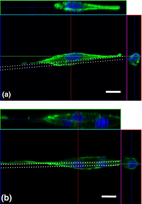 Fig. 4