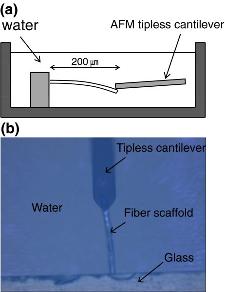 Fig. 1