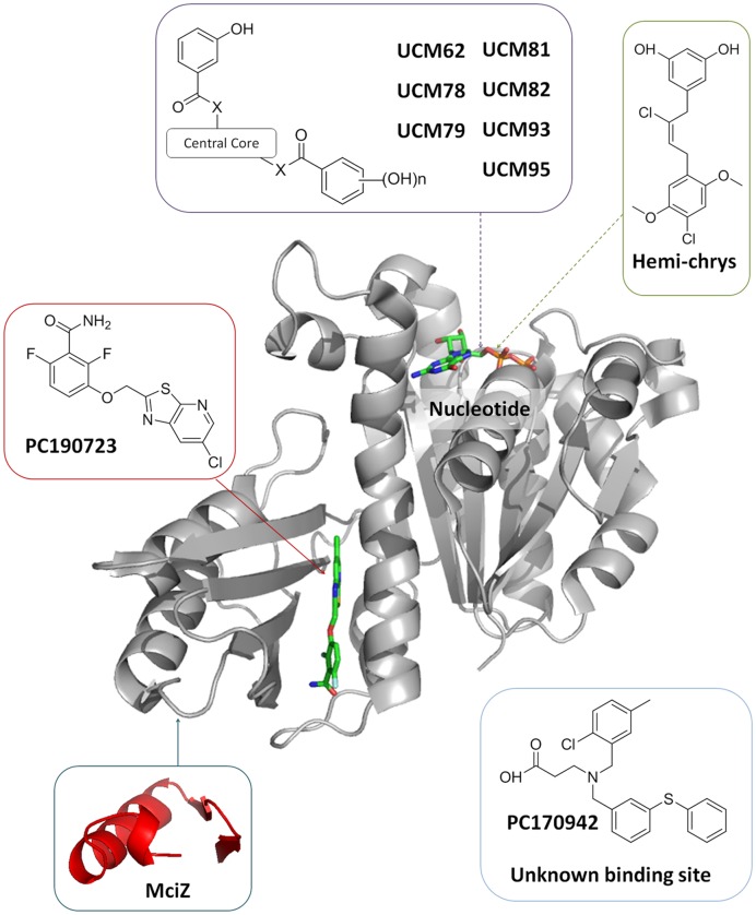 FIGURE 1