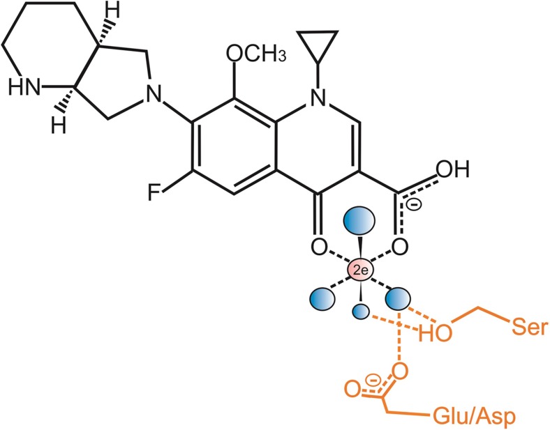 Fig. 1