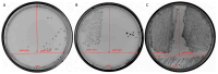 Figure 9