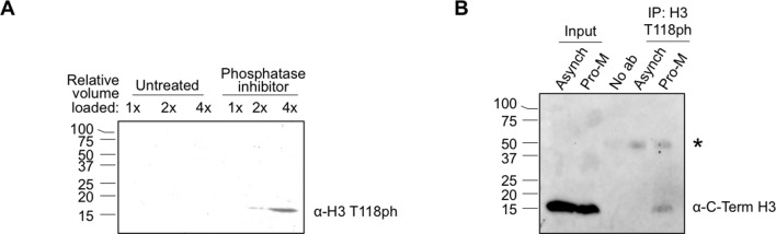 Figure 1—figure supplement 1.