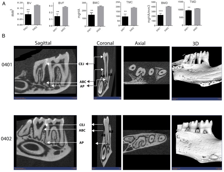 Figure 1