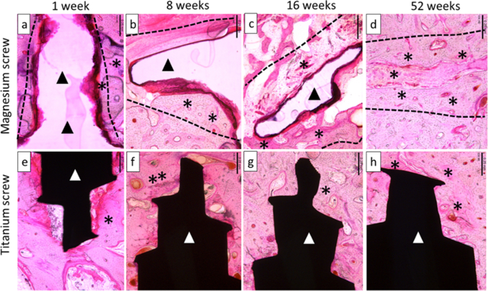 Fig. 8