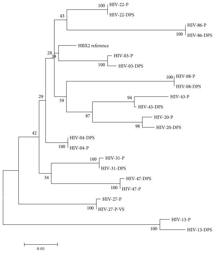 Figure 2