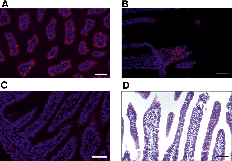 Figure 3