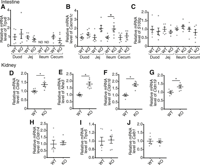 Figure 6