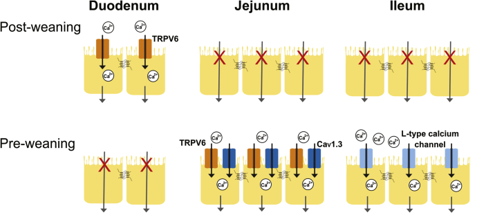 Figure 9