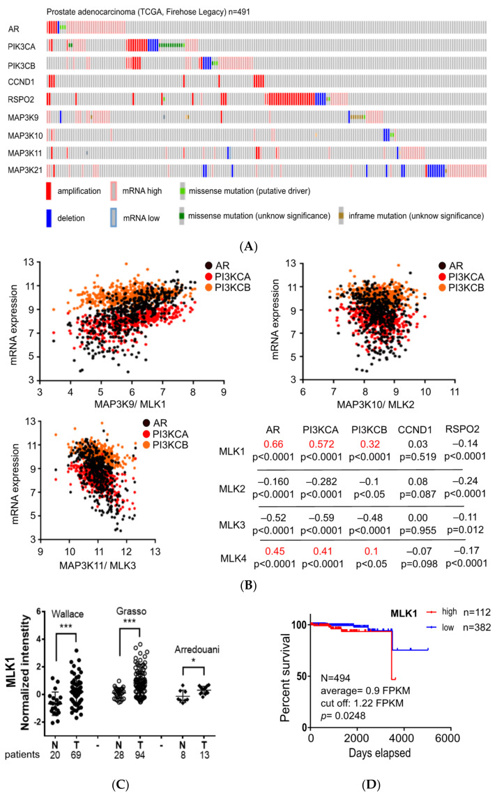 Investigation of Anti-Tumor Effects of an MLK1 Inhibitor in Prostate ...