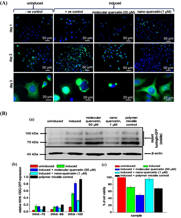 Fig. (5)