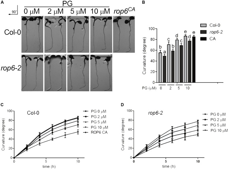 FIGURE 6